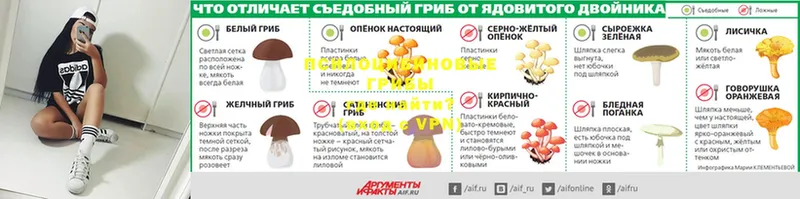 где найти наркотики  Северодвинск  blacksprut как войти  Галлюциногенные грибы мицелий 